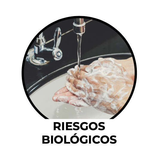 Riesgos biológicos