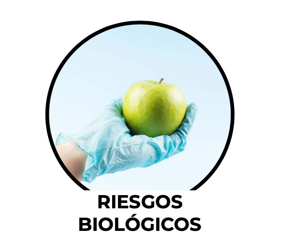 Riesgos biológicos