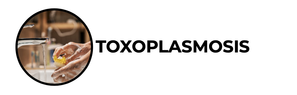 Toxoplasmosis