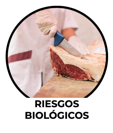 Riesgos biologicos